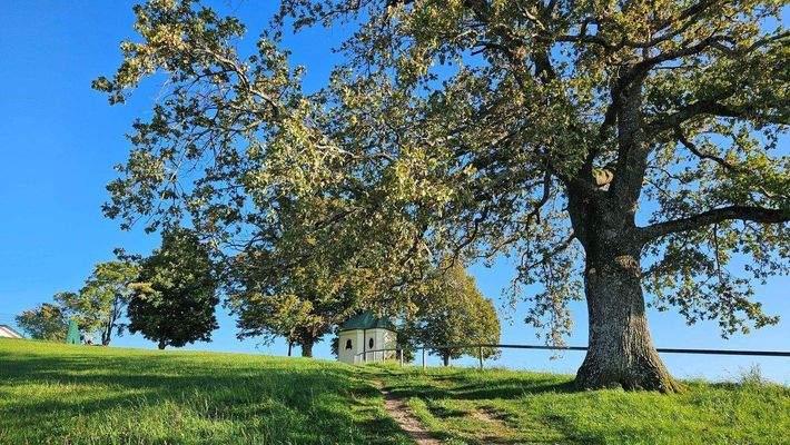 Aussichtspunkt Fürstenberg