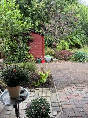 Aussicht von der Haustür aus.jpeg