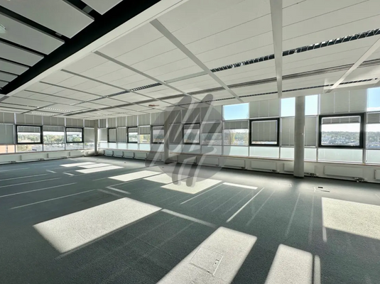 INFOS UNTER: 06171-586000