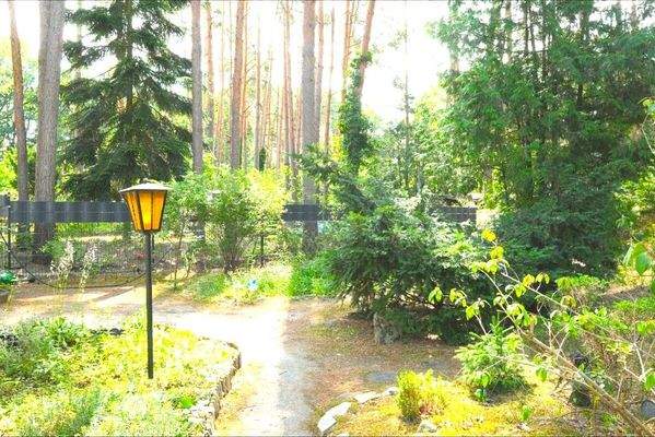 Ostansicht vom Bungalow in den Garten