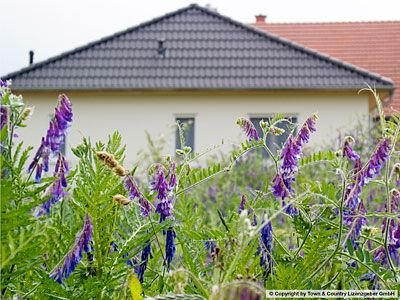 Hermsdorf Häuser, Hermsdorf Haus kaufen