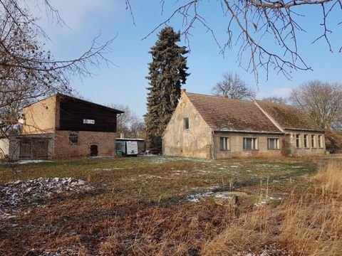 Altwiegshagen-Wietstock Häuser, Altwiegshagen-Wietstock Haus kaufen