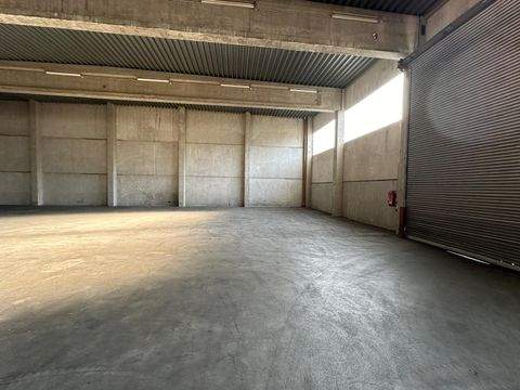 Röttenbach Halle, Röttenbach Hallenfläche