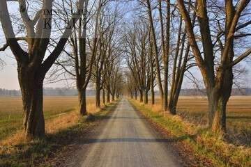 Naherholungsgebiet 3