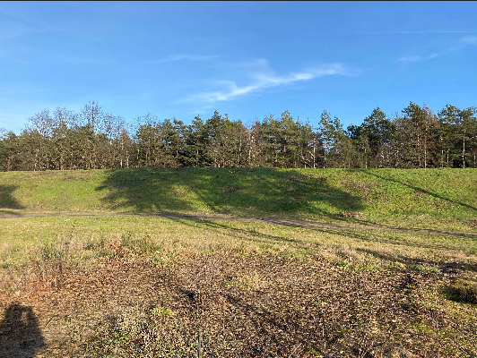 Screenshot 2025-08-27 at 16-24-41 Medien-Verwaltun