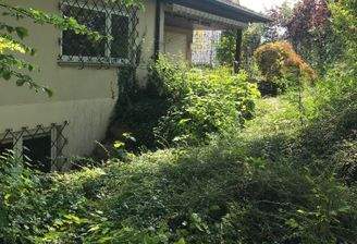 Garten mit Terrassenansicht.JPG