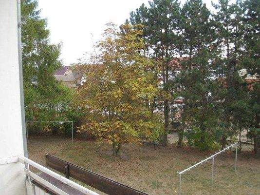 Blick auf Grünflächen