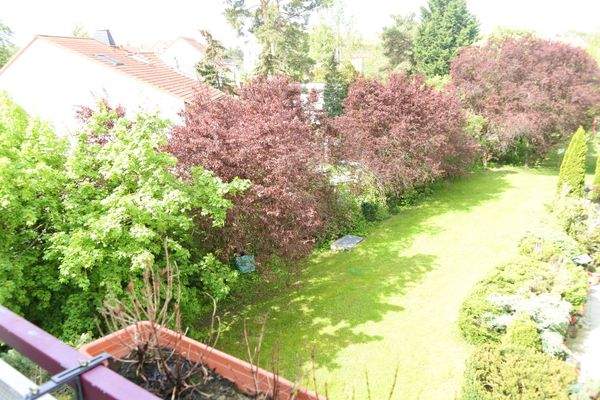 Blick zum grünen Innenhof