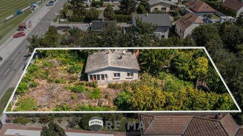 Mitterndorf an der Fischa Häuser, Mitterndorf an der Fischa Haus kaufen