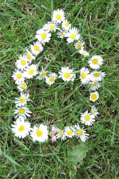 Bad Bevensen Grundstücke, Bad Bevensen Grundstück kaufen