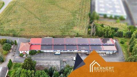 Hochstadt am Main Halle, Hochstadt am Main Hallenfläche