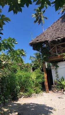 Küchenbungalow mit Dachterrasse