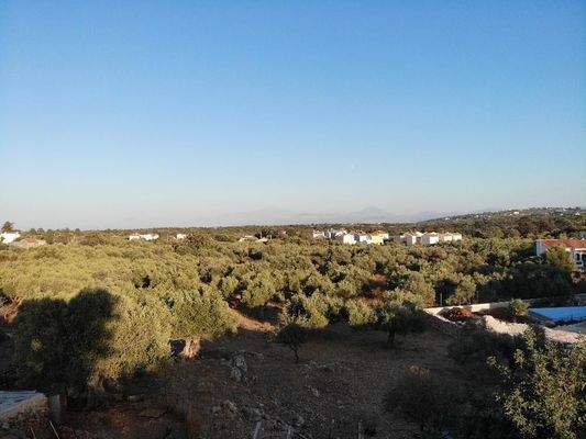 Kreta, Xirosterni: Grundstück in ruhiger Lage mit Berg- und Meerblick zu verkaufen