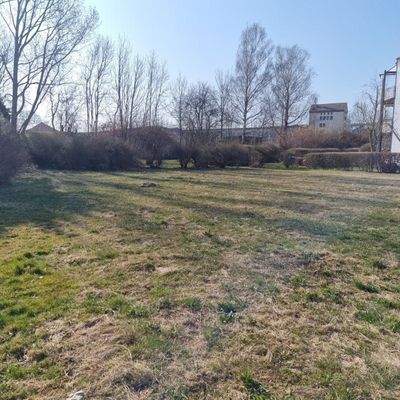 Ansicht Grundstückszentrum - Blickrichtung Süden