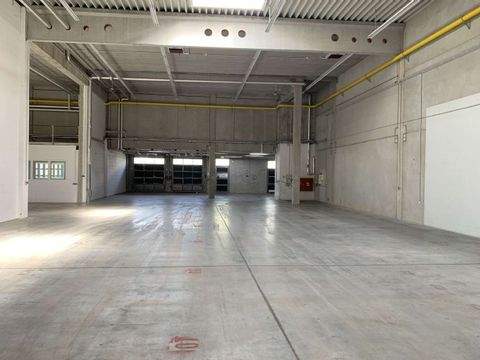 Eschborn Halle, Eschborn Hallenfläche