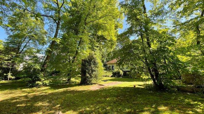 Garten mit Blick zum Haus 1