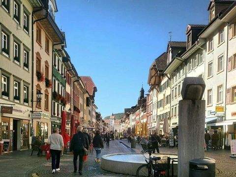 Waldshut-Tiengen Wohnungen, Waldshut-Tiengen Wohnung mieten