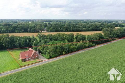 Haselünne / Andrup Häuser, Haselünne / Andrup Haus kaufen