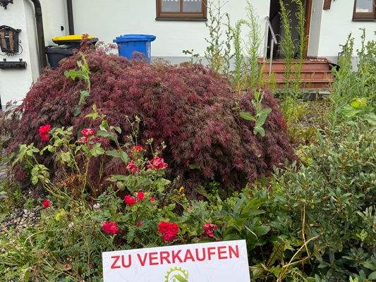 Eingangsbereich.jpg