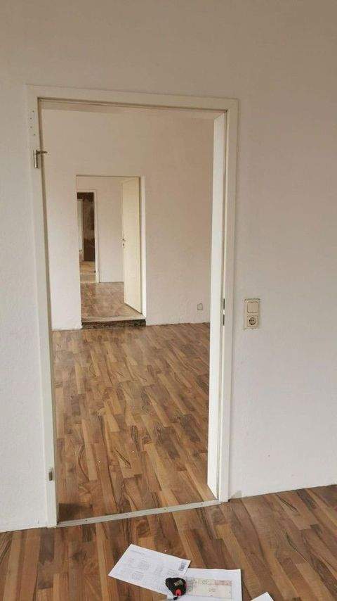 Lauterbach Halle, Lauterbach Hallenfläche