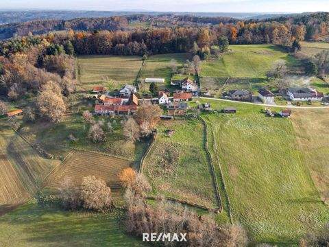 Hofstätten an der Raab Bauernhöfe, Landwirtschaft, Hofstätten an der Raab Forstwirtschaft