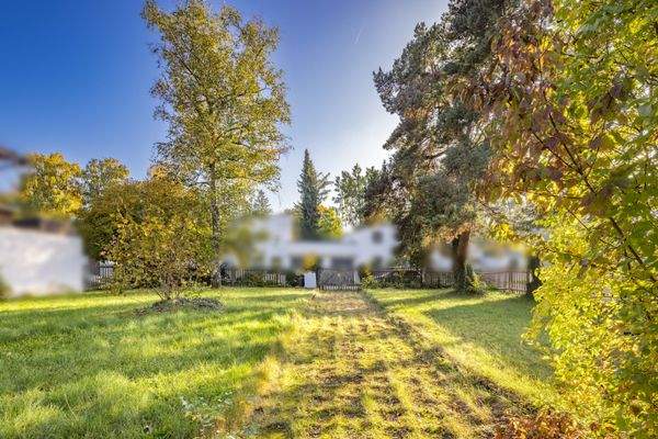 Platz für ca. 423 m² Wfl.