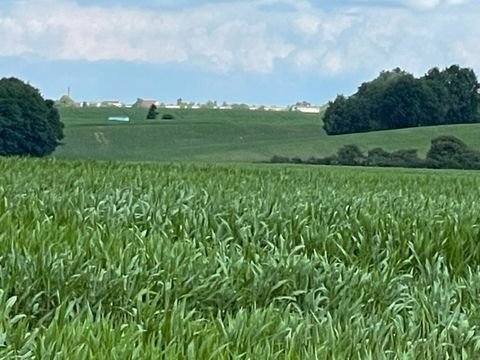 Dorf Mecklenburg Grundstücke, Dorf Mecklenburg Grundstück kaufen