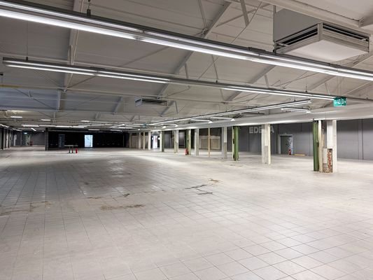 Hallenfläche (EG)