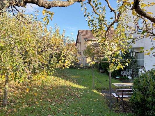 große Gartenfläche hinterm Haus