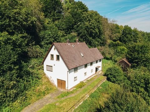 Beratzhausen Häuser, Beratzhausen Haus kaufen