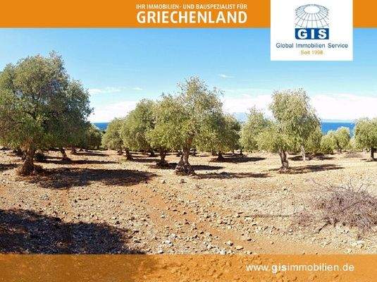 eben und gut bebaubar