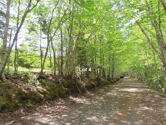 Cape Breton - Traumhaft schöne Naturlage am Middle