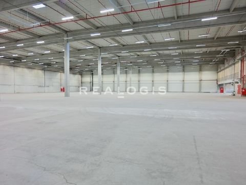 Plochingen Halle, Plochingen Hallenfläche