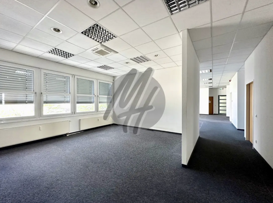 INFOS UNTER: 06171-586000