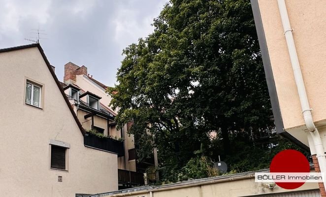 Grünfläche direkt am Haus 