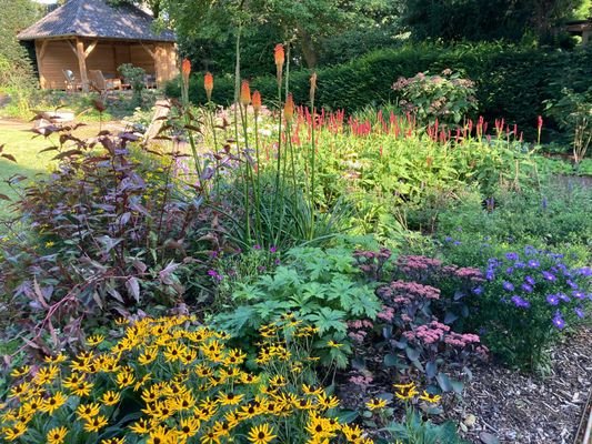 Insektenfreundlicher Garten
