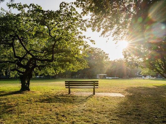 Kurpark.jpg
