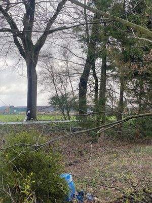 Blick auf das Wohngrundstück 