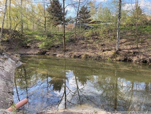 Umgebung Teich