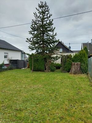 Freifläche/ Garten0241204_141324