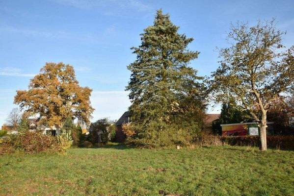 Baugrundstück Ansicht vom Billetal.jpg