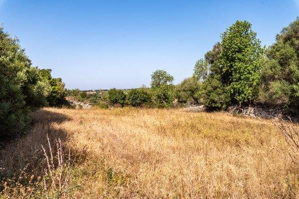 Grundstück mit Baungenehmigung
