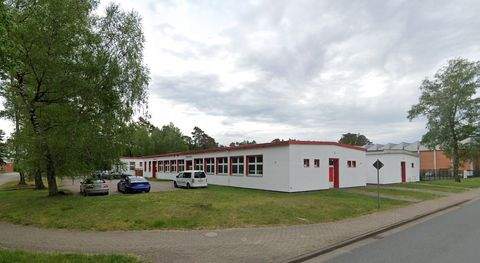 Munster Halle, Munster Hallenfläche