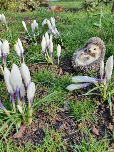 * * * Bald ist wieder Frühling - Tolle Eigentumswohnung mit Gartenanteil