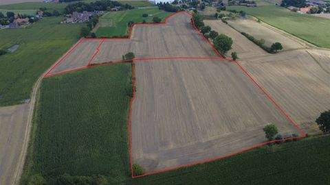 Nordwalde Bauernhöfe, Landwirtschaft, Nordwalde Forstwirtschaft