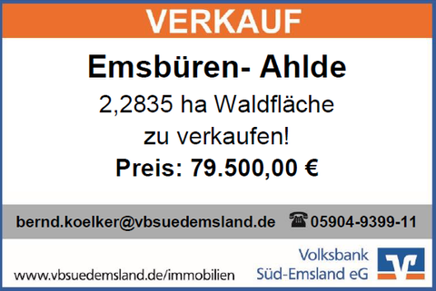 Emsbüren Bauernhöfe, Landwirtschaft, Emsbüren Forstwirtschaft