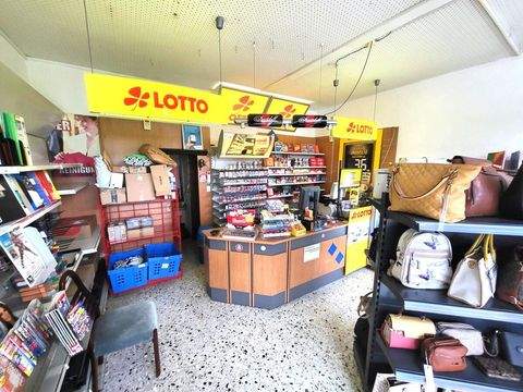 Frankenthal (Pfalz) Ladenlokale, Ladenflächen 