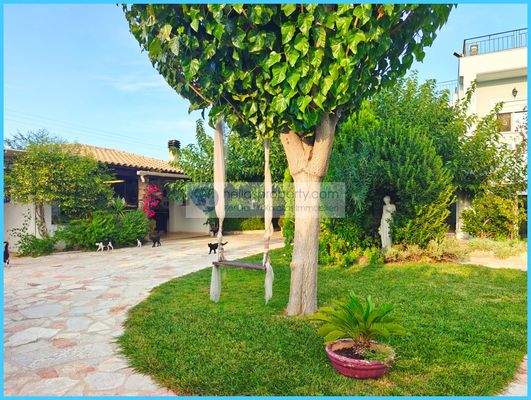 e3fb7c17d04c4b5791f7e5427155f52c-original