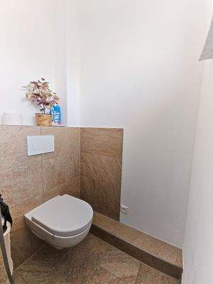 OG: Tageslichtbad WC