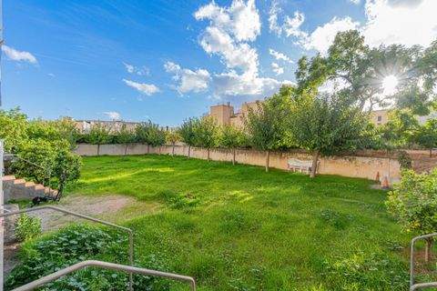 PALMA Häuser, PALMA Haus kaufen